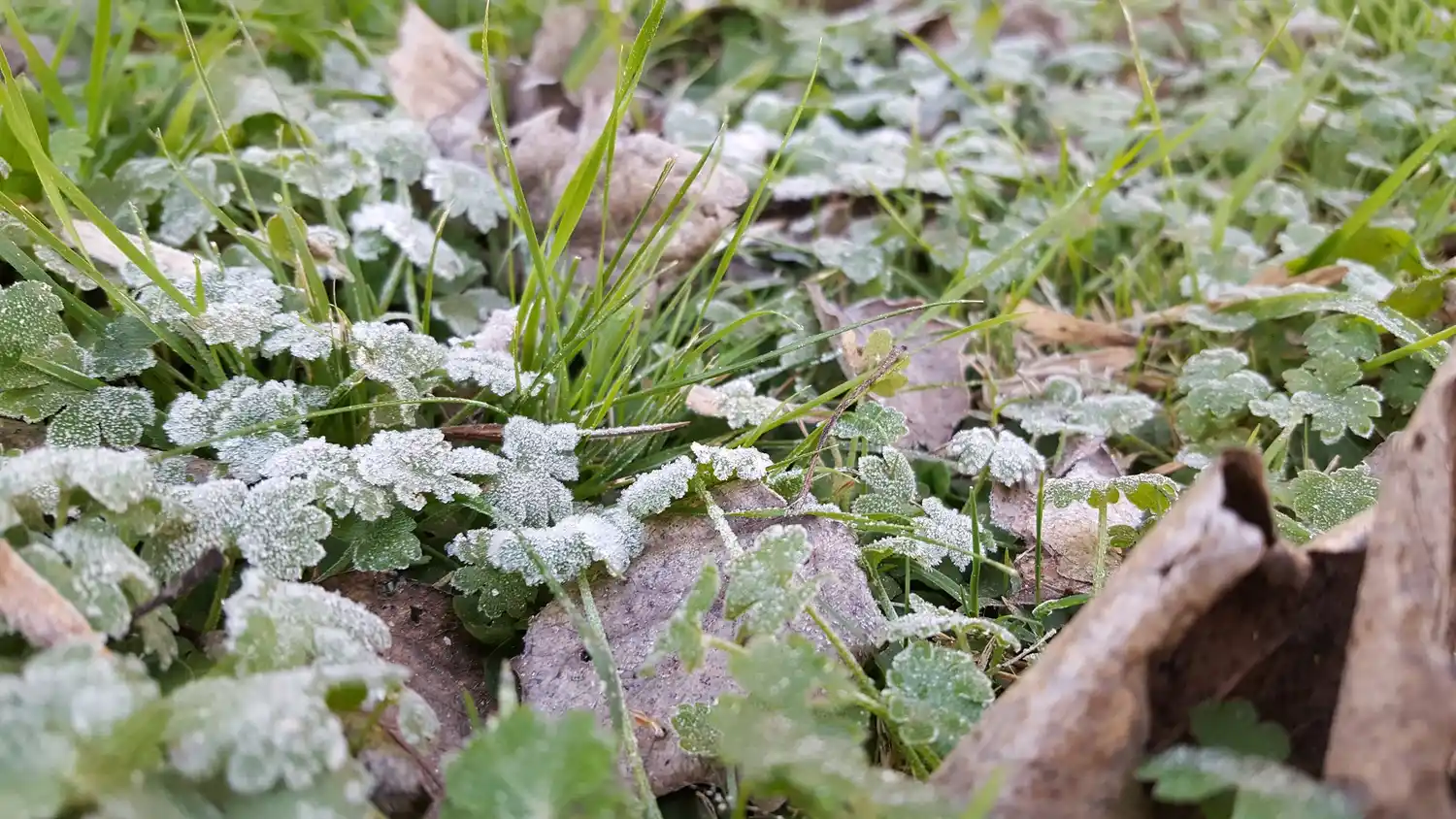 Anuncian que el viernes será el día más frío