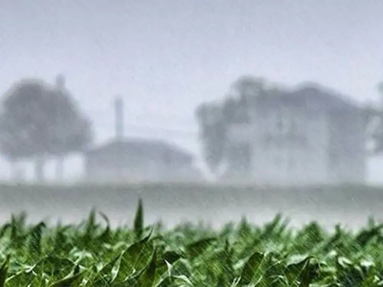 Beneficio. La lluvia que cayó trajo algo de alivio a los suelos productivos