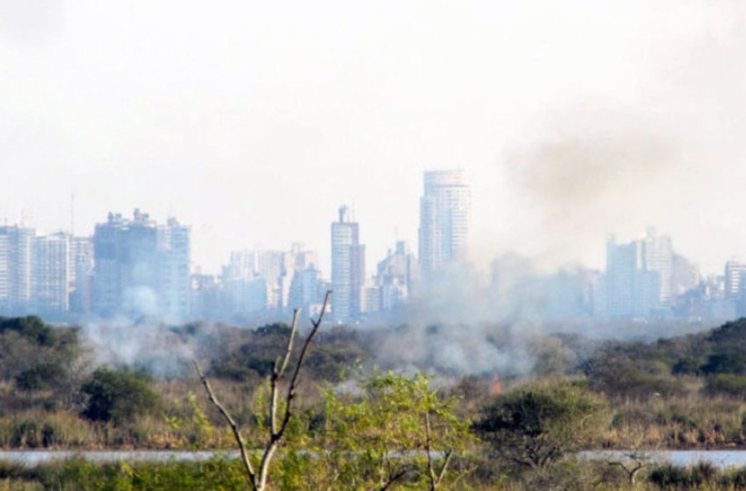 Incendios en las islas: desde Santa Fe están dispuestos a colaborar con los bomberos de Victoria