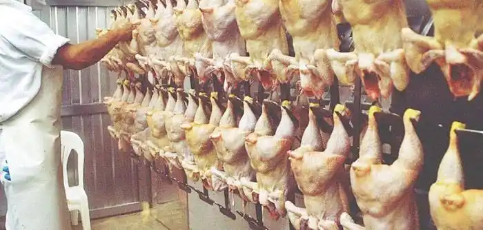 Crecieron las exportaciones entrerrianas durante el primer cuatrimestre de 2020 