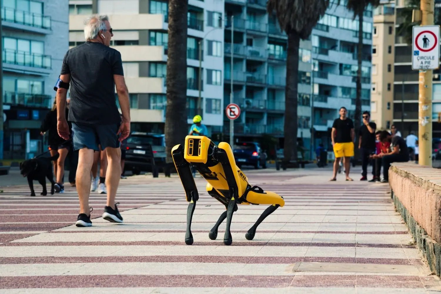 CONOZCA a Yellow y Cyberdog: los perros robot que revolucionan la cibernética (+ video)
