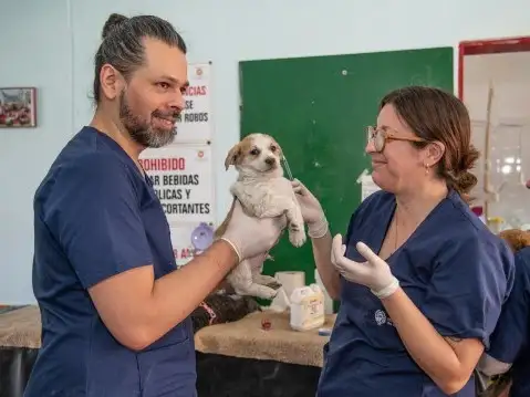 El esquema que se consolida con el nuevo Hospital Animal replica el funcionamiento de la red municipal de salud humana. Crédito: Gentileza Municipalidad de Rosario.