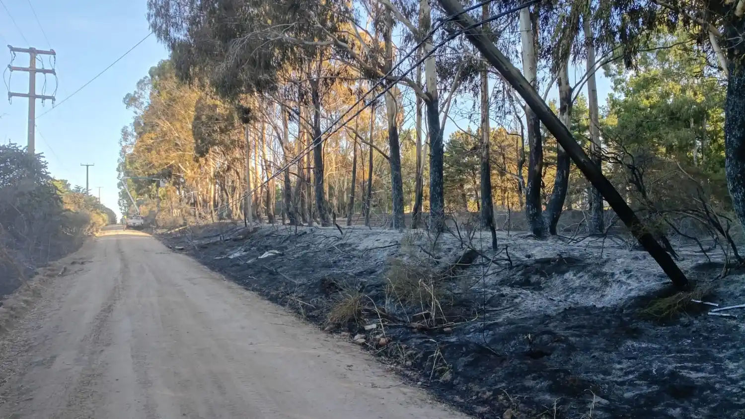 Un incendio afectó infraestructura eléctrica en la zona de Cabanna, Las Petuñas y Los Robles.