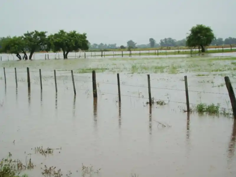 Campos entrerrianos, en estado "crítico" por las intensas lluvias