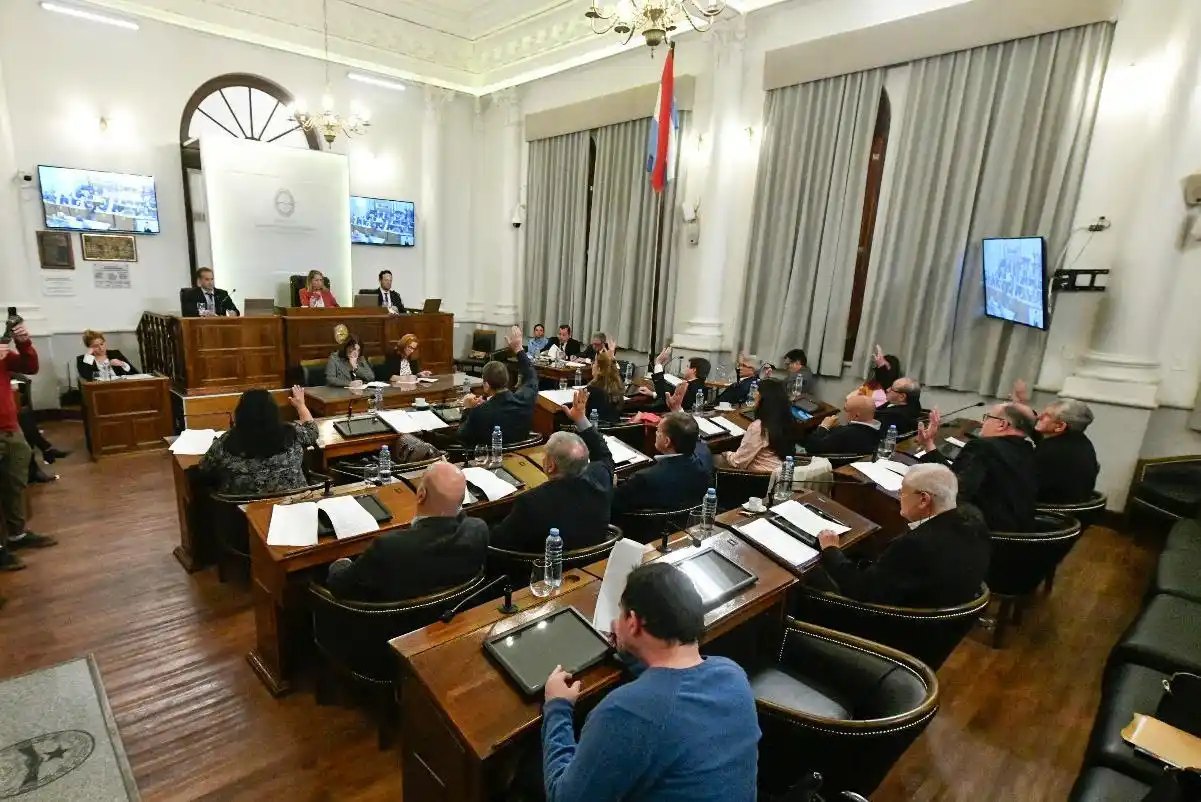 La Cámara de Senadores aprobó la creación del Colegio de Profesionales Psicomotricistas