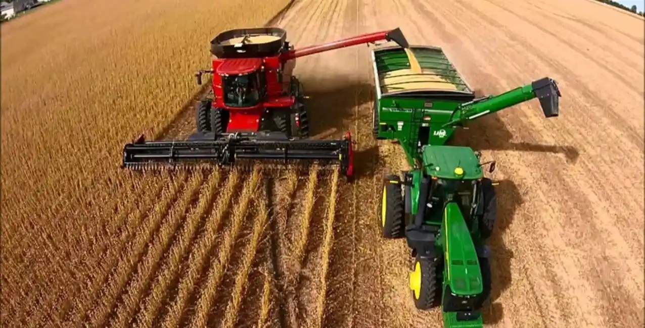 Crean un “dólar-agro” para que productores de soja vendan la cosecha