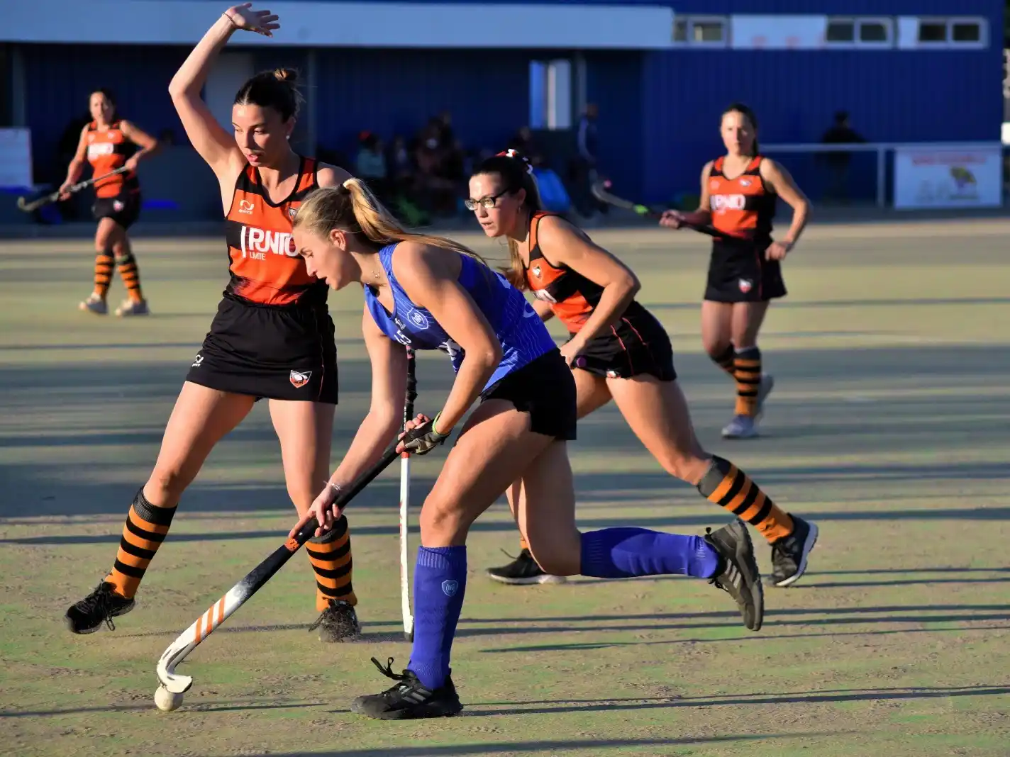 Antártida debuta en casa