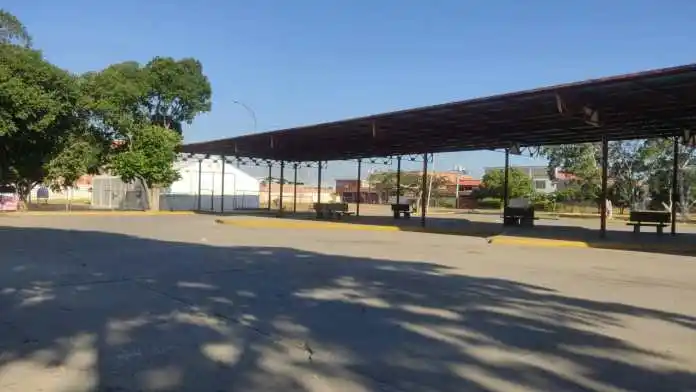 Continúa restringido el ingreso y salida de unidades de transporte en la frontera