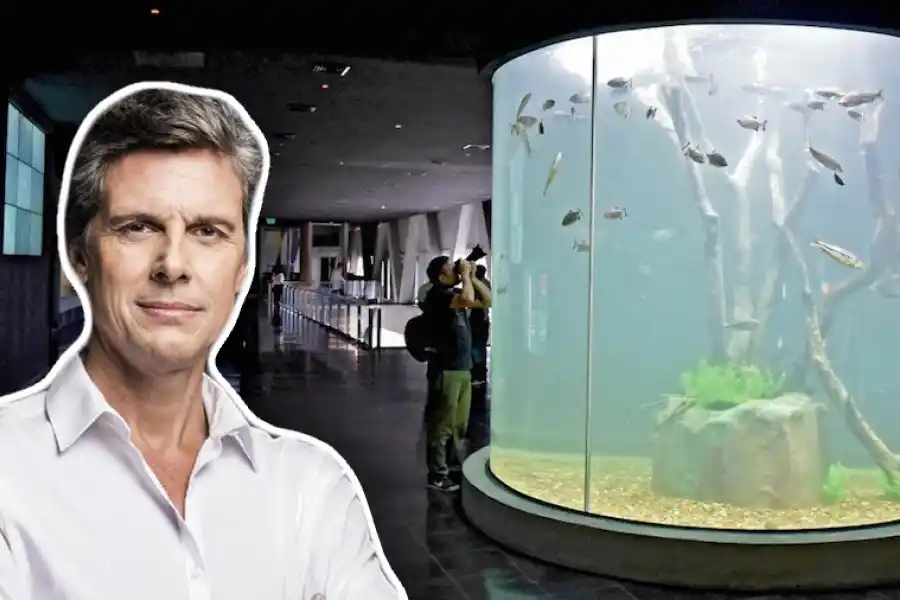 Crece el turismo en Santa Fe: más de 3.500 personas visitaron el Acuario del río Paraná durante el fin de semana largo