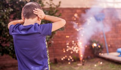 ¿Por qué pedimos fiestas sin pirotecnia?