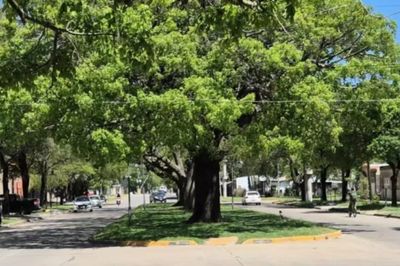 Violenta entradera en una carnicería de Casilda: se llevaron dinero, celulares y medio costillar