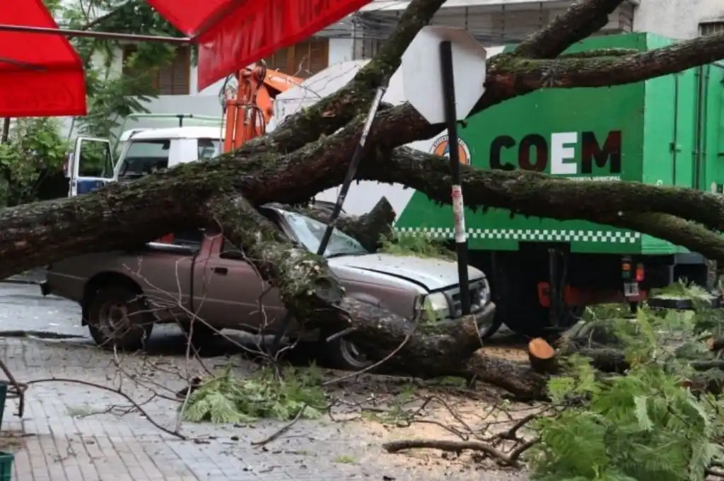 Un temporal en Rosario dejó numerosos destrozos