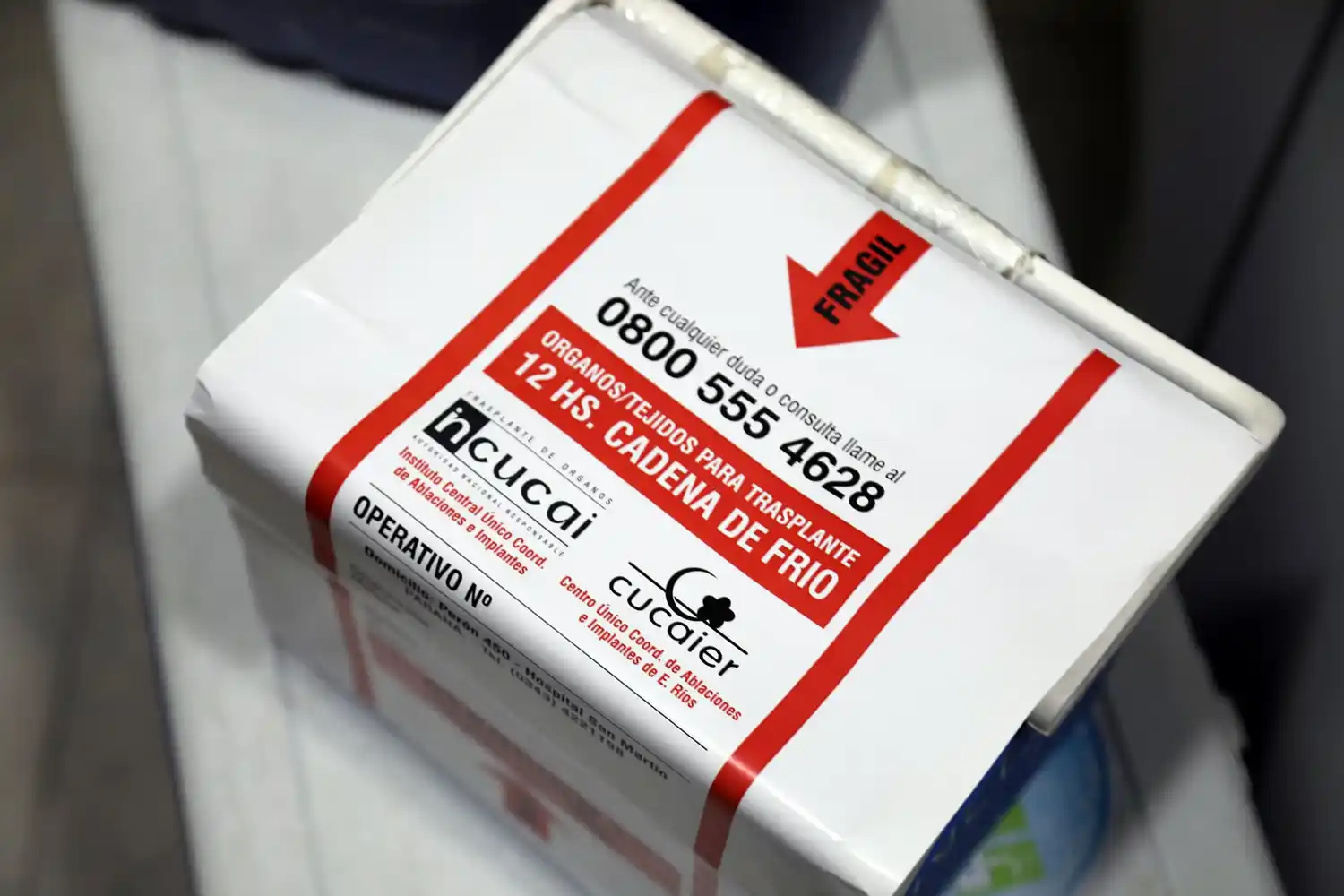 Donación multiorgánica favorece a cinco pacientes