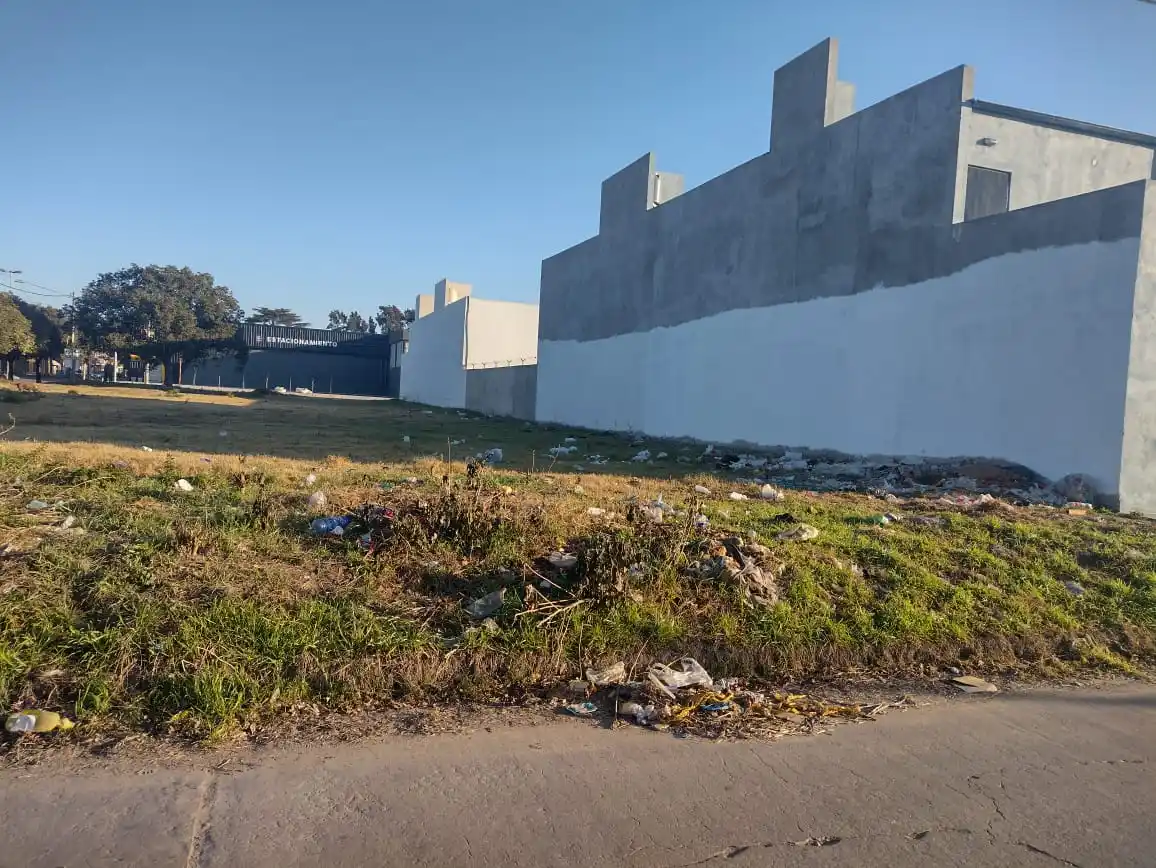"Estoy viendo cada día más basura tirada por todos lados", escribió en su mensaje.