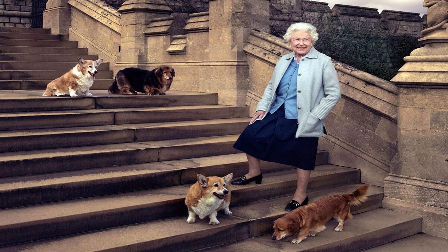 LOS ADORADOS perritos corgis de Isabel II fueron adoptados por su hijo Andrés