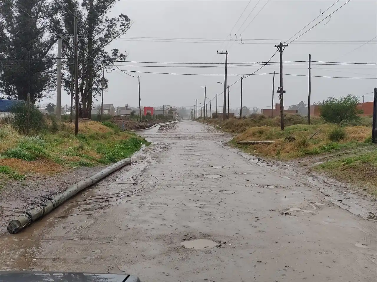 Temporal: Lester y Muñiz