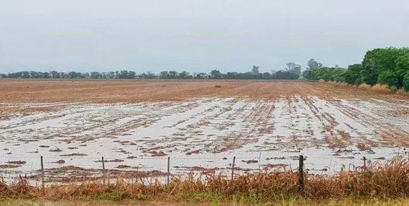 La llegada de un nuevo frente de tormenta, dejaría lluvias abundantes en el área agrícola