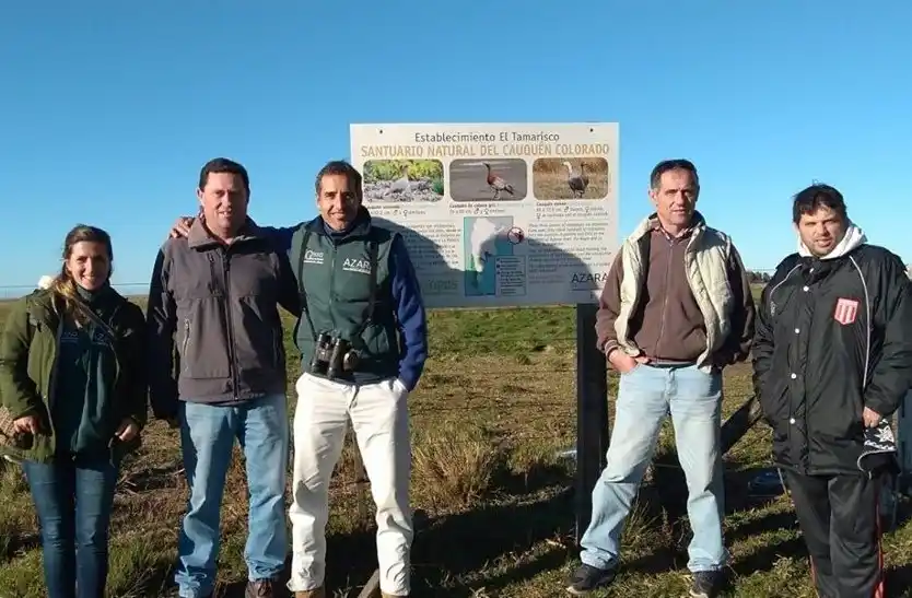 Protección del cauquén colorado