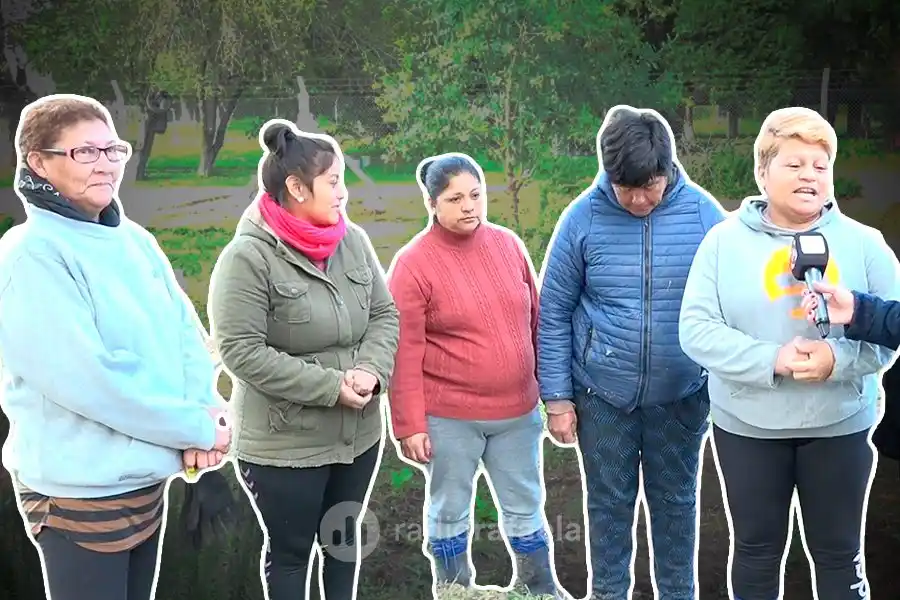 Huerta Sisu: Verdura Agroecológica en nuestra ciudad