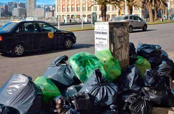 Un hábito en declive: los marplatenses admiten cumplir menos con la separación de residuos en origen