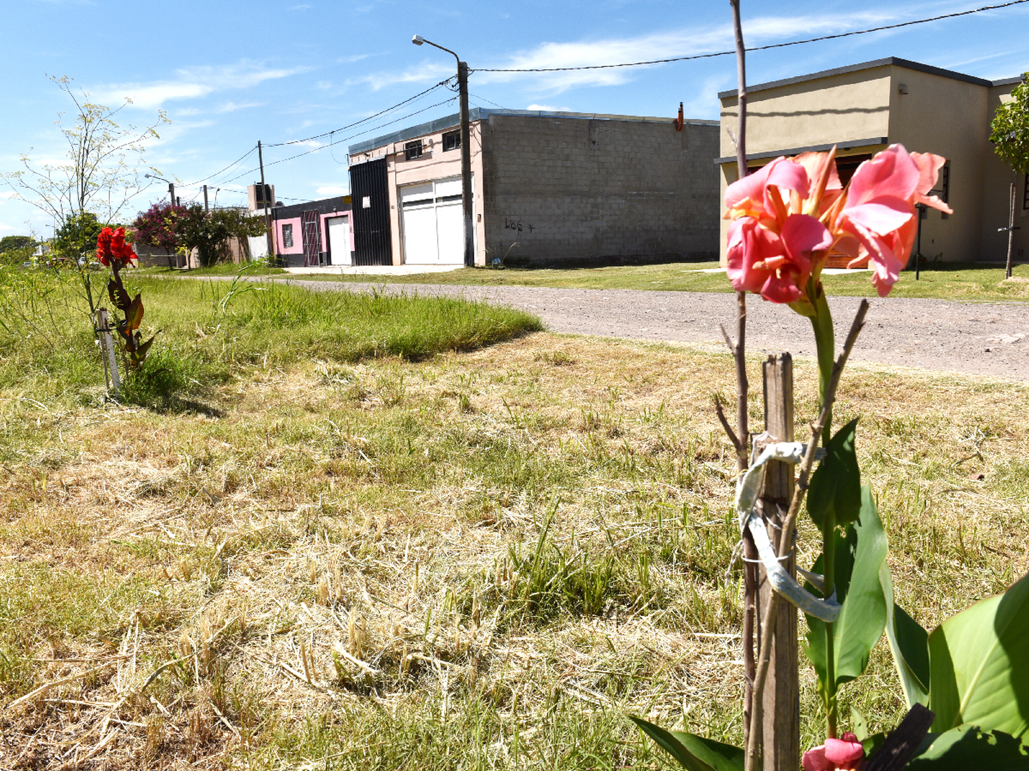 Jardines “populares”: donde las flores jamás se marchitan