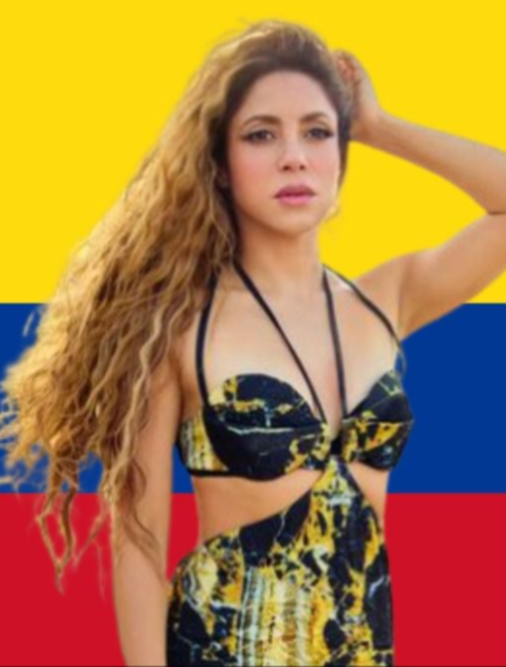 El mensaje de Shakira para la Selección de Colombia tras la derrota en la final de la Copa América