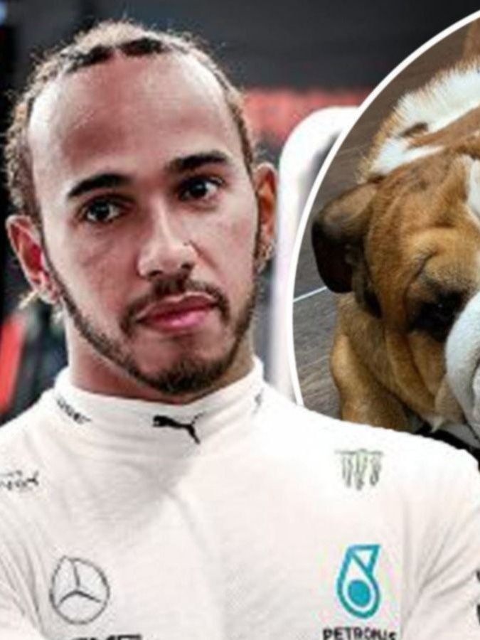 Lewis Hamilton revela sus cualidades paternales con Roscoe