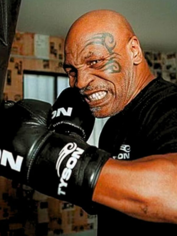 Mike Tyson se prepara para su vuelta al ring. Te dejamos un video de su intenso entrenamiento