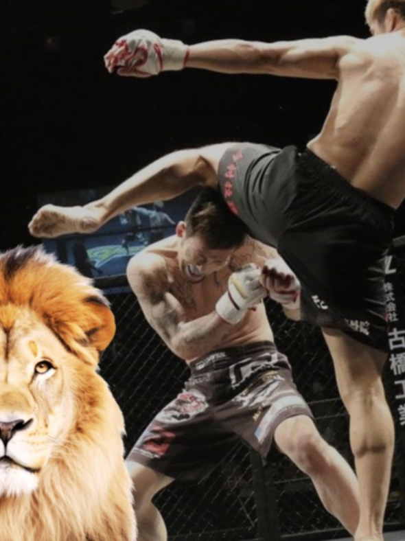 Esta es la estrella de la MMA que vive con leones, cocodrilos y tiburones