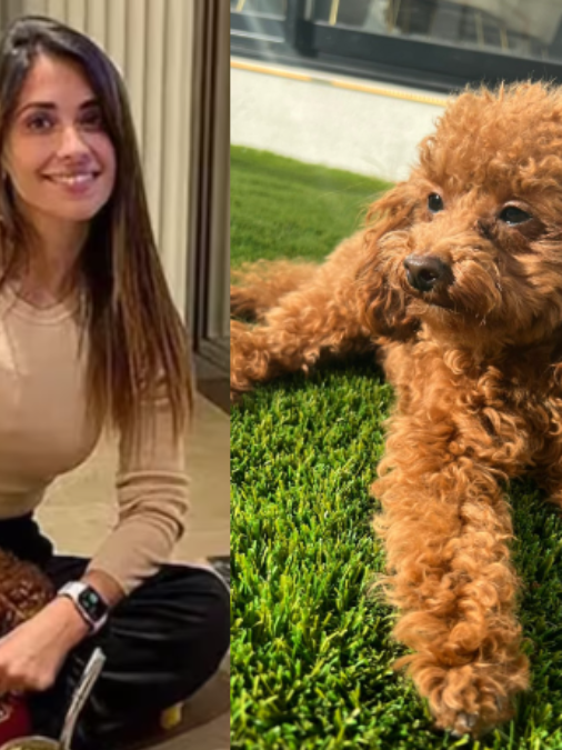 Abú, la adorable mascota que conquistó a Antonela Roccuzzo y Lionel Messi