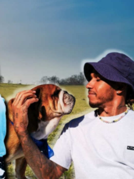 Lewis Hamilton vuelve vegano a su perro ¿Por qué lo hizo?