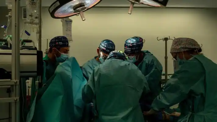 POR PRIMERA VEZ EN EL MUNDO trasplantan con éxito un riñón de cerdo en un humano