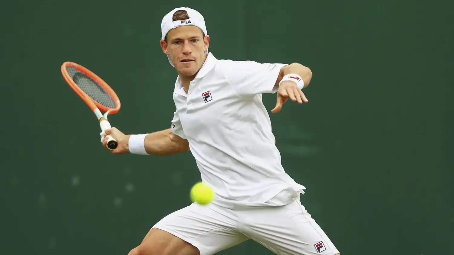 Diego Schwartzman.