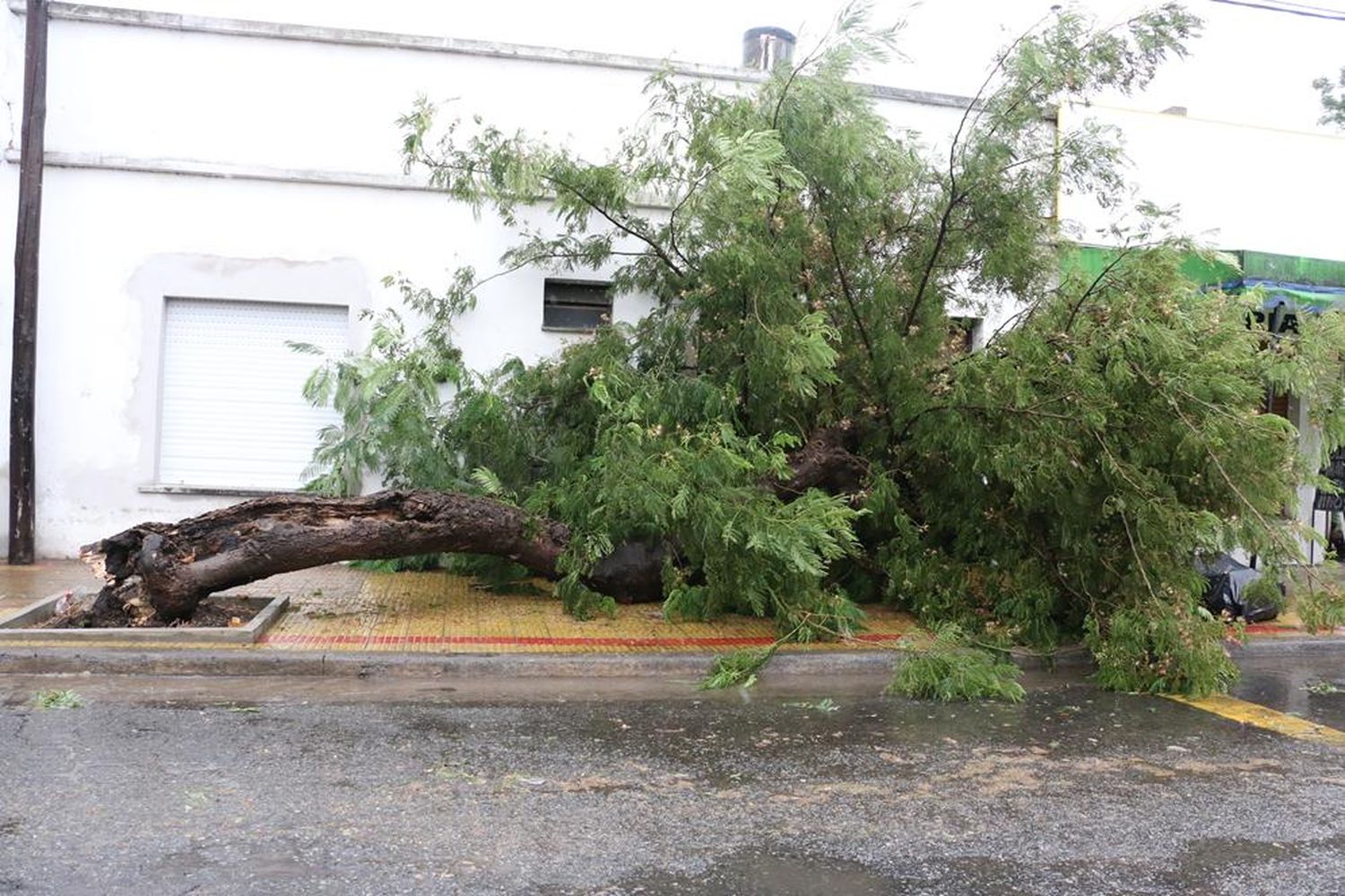Rige un nuevo alerta meteorológico por vientos fuertes con ráfagas de hasta 80 km/h