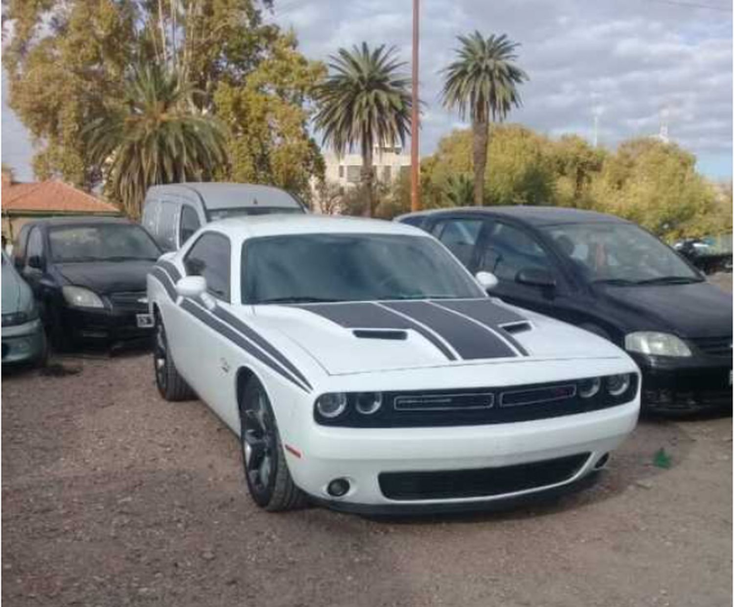 mustang