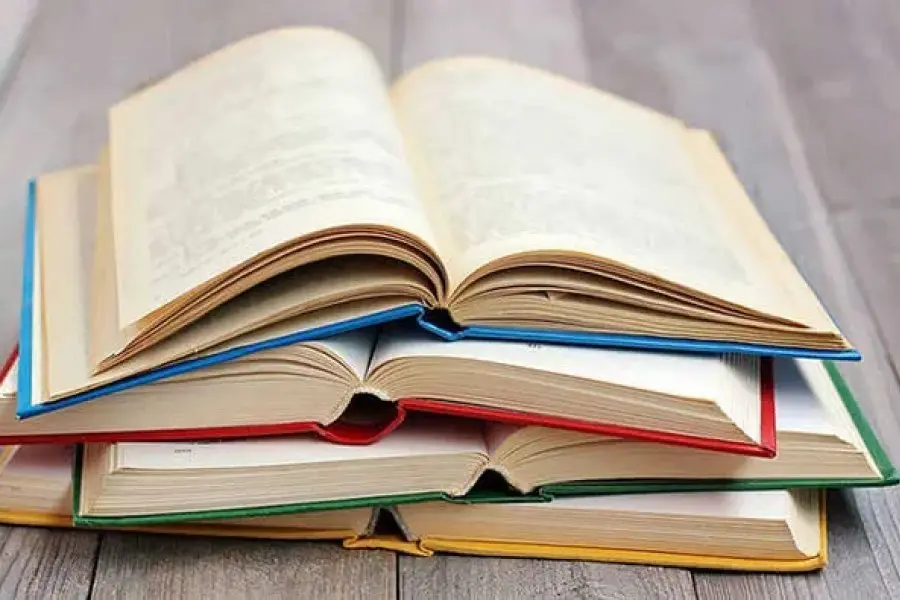Últimos encuentros del “Ciclo de lectura: literatura, poéticas de la infancia”