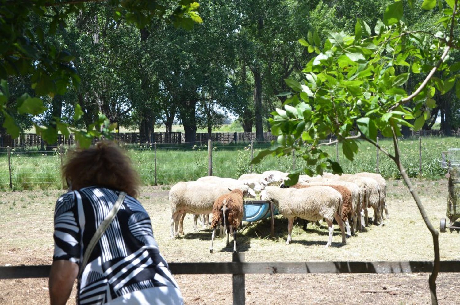 Un grupo de emprendedores  apuesta a un proyecto de  turismo rural accesible