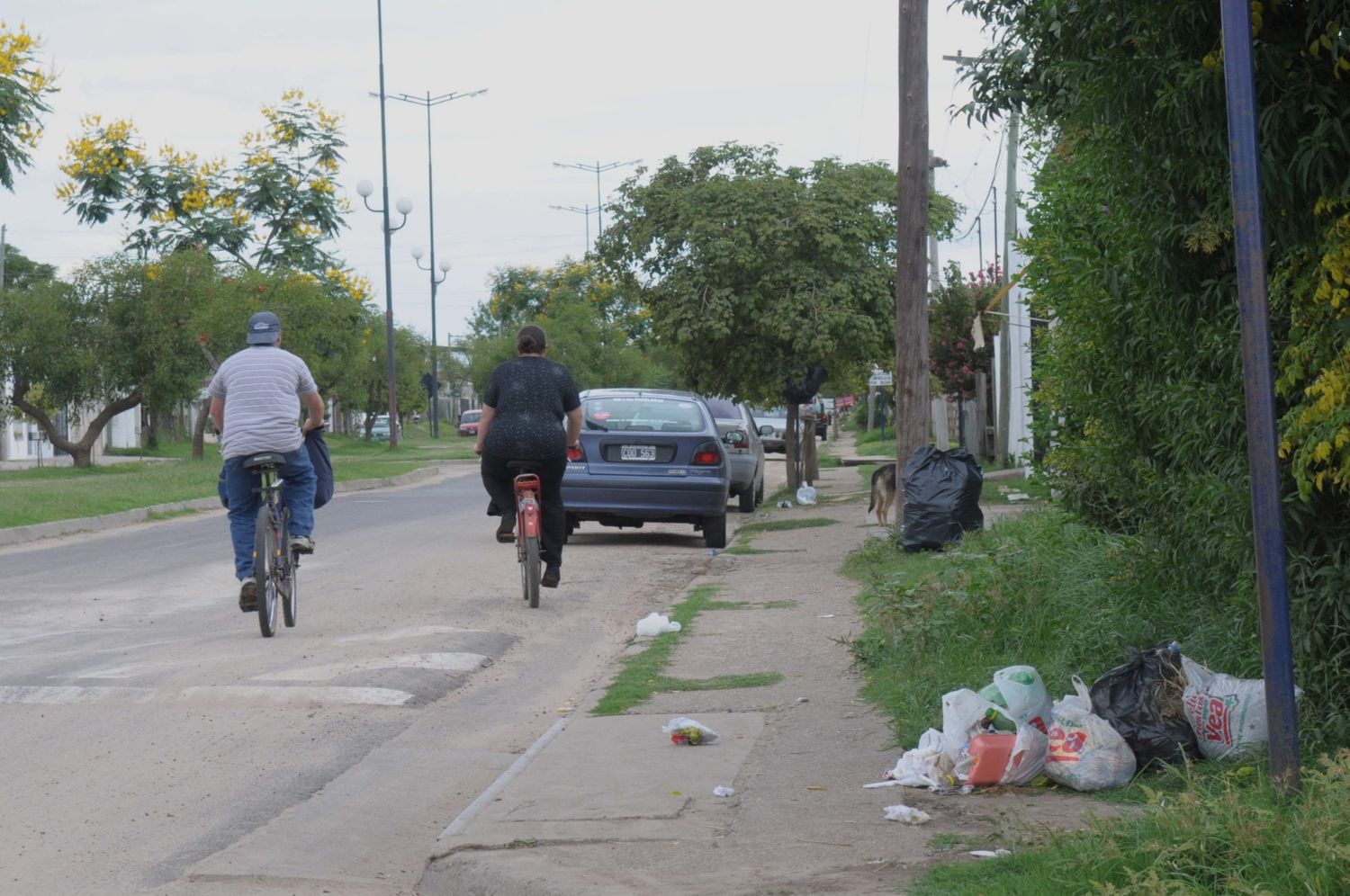 Basura en las calles: Un problema que se puede evitar