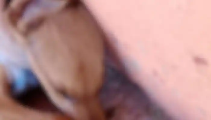 “Se me murieron dos perros envenenados”