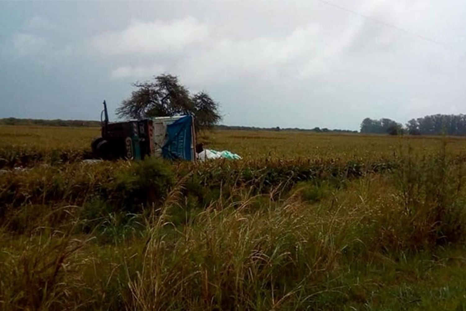 "Siento que volví a nacer", dijo un camionero tras ser socorrido en un choque frontal