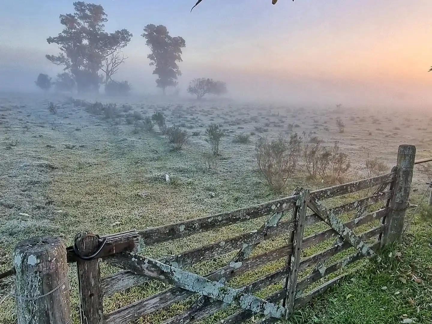 Rige alerta naranja por frío extremo en Entre Ríos: recomiendan extremar cuidados