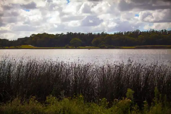 Encontraron un cuerpo en la Laguna de los Padres