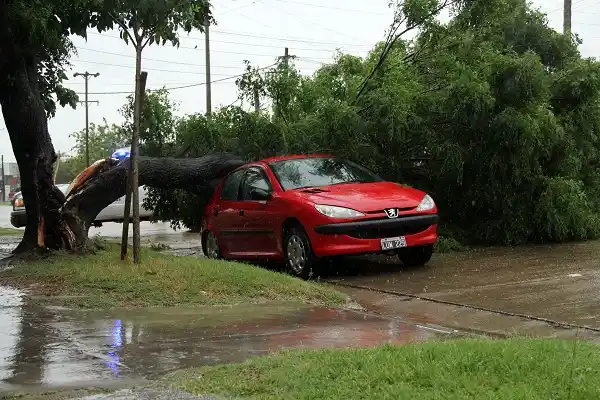 Inundaciones, evacuados y destrozos fueron las consecuencias del temporal en la ciudad 