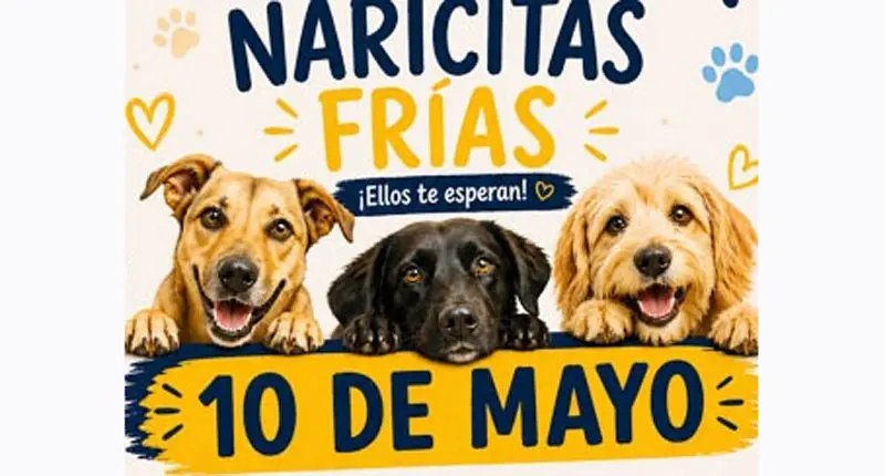 “La Tarde de las Naricitas Frías”: festival solidario por el Día del Animal en Concordia