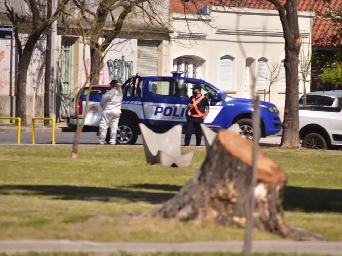 Hay fuertes controles para impedir aglomeraciones estudiantes  