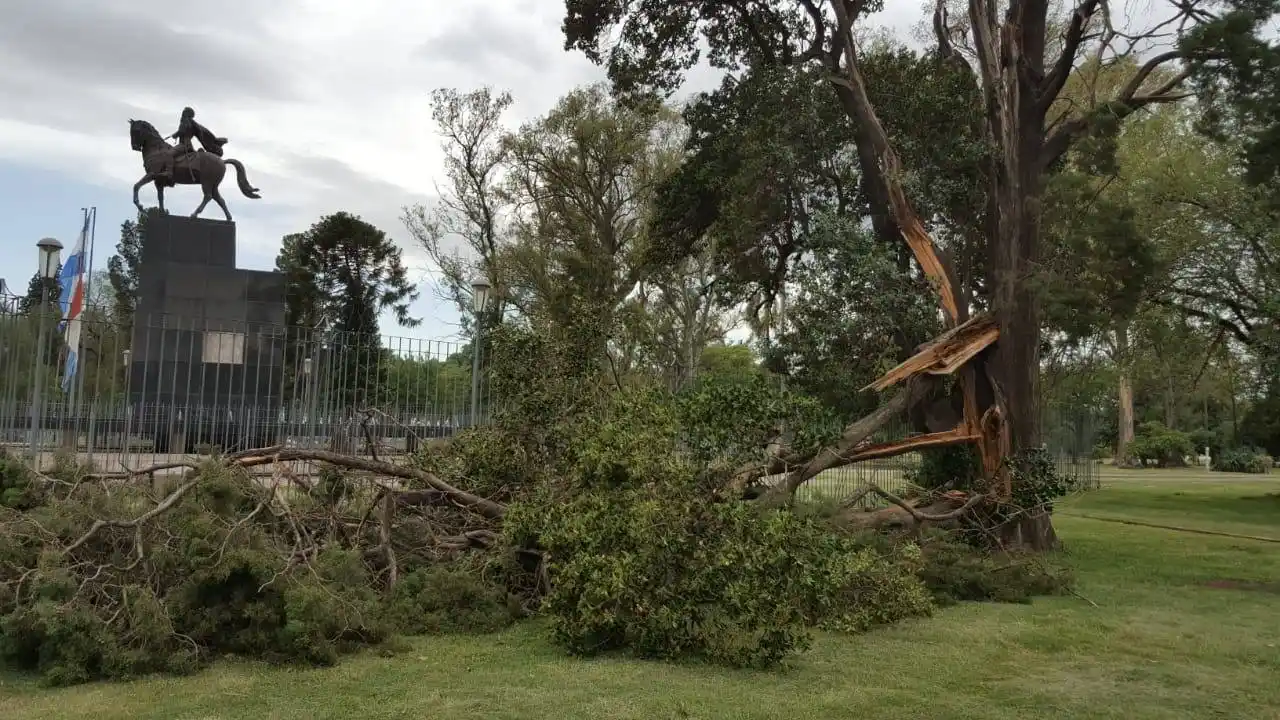 Vientos de hasta 85 Km/h causaron destrozos en Córdoba