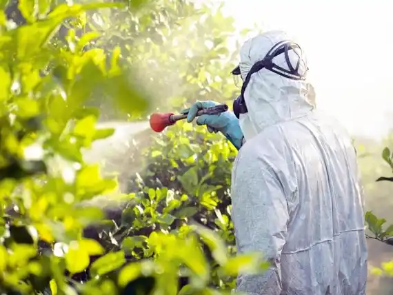 Casi 90 aplicadores de fitosanitarios se capacitan en los encuentros organizados por el Municipio