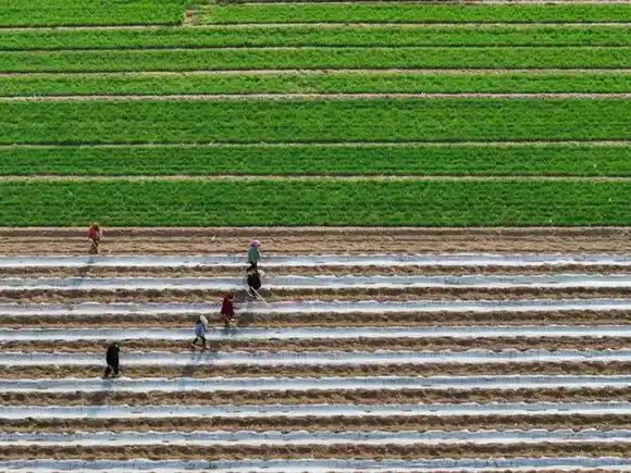 La agricultura brasileña es “la más deseada del mundo” como alternativa a Estados Unidos