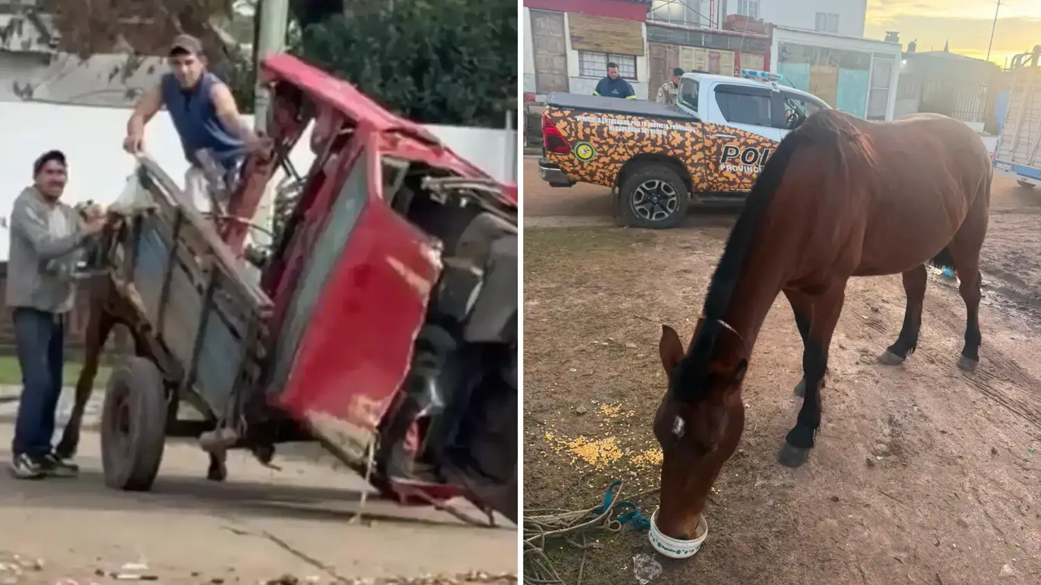 Secuestraron al caballo que tiraba el carro en el que quisieron subir la mitad de un auto: quedó a resguardo en Las Piedras
