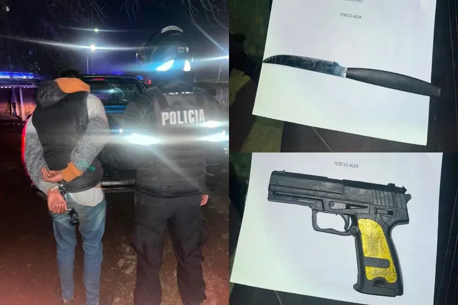 Detenido y armas secuestradas.